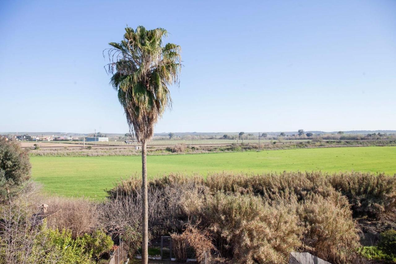 Casa Rural La Palmera Almodóvar del Río Extérieur photo