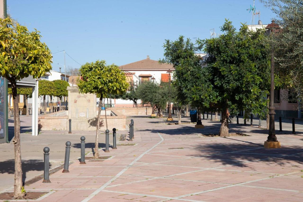 Casa Rural La Palmera Almodóvar del Río Extérieur photo